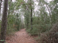 Turkey Creek Trail